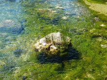 Río Genal - Serranía de Ronda