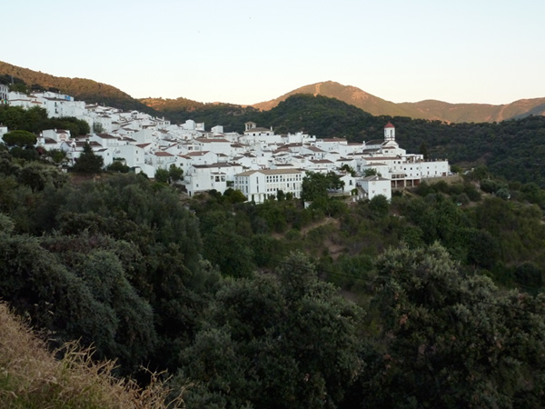 Genalguacil