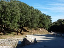Sierra de Las Nieves cerca de Ronda
