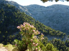 Sierra de Las Nieves cerca de Ronda