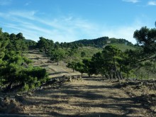 Sierra de Las Nieves cerca de Ronda