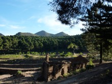 Sierra de Las Nieves cerca de Ronda