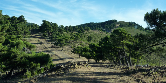 Sierra de las Nieves, Cerca de Ronda
