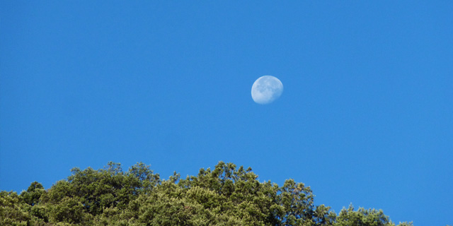 Sierra de las Nieves, Cerca de Ronda