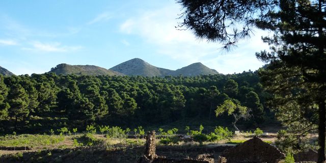 Sierra de las Nieves, Cerca de Ronda